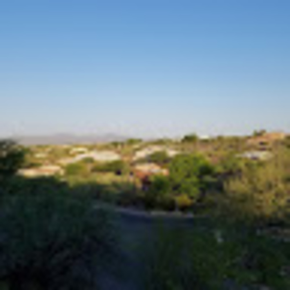 Meet your Posher, Mackenzie